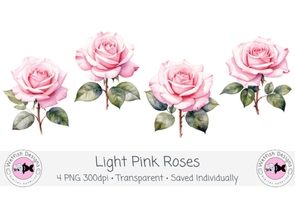 Download Watercolor PNG 300dpi Light Pink Roses - Pink Collection